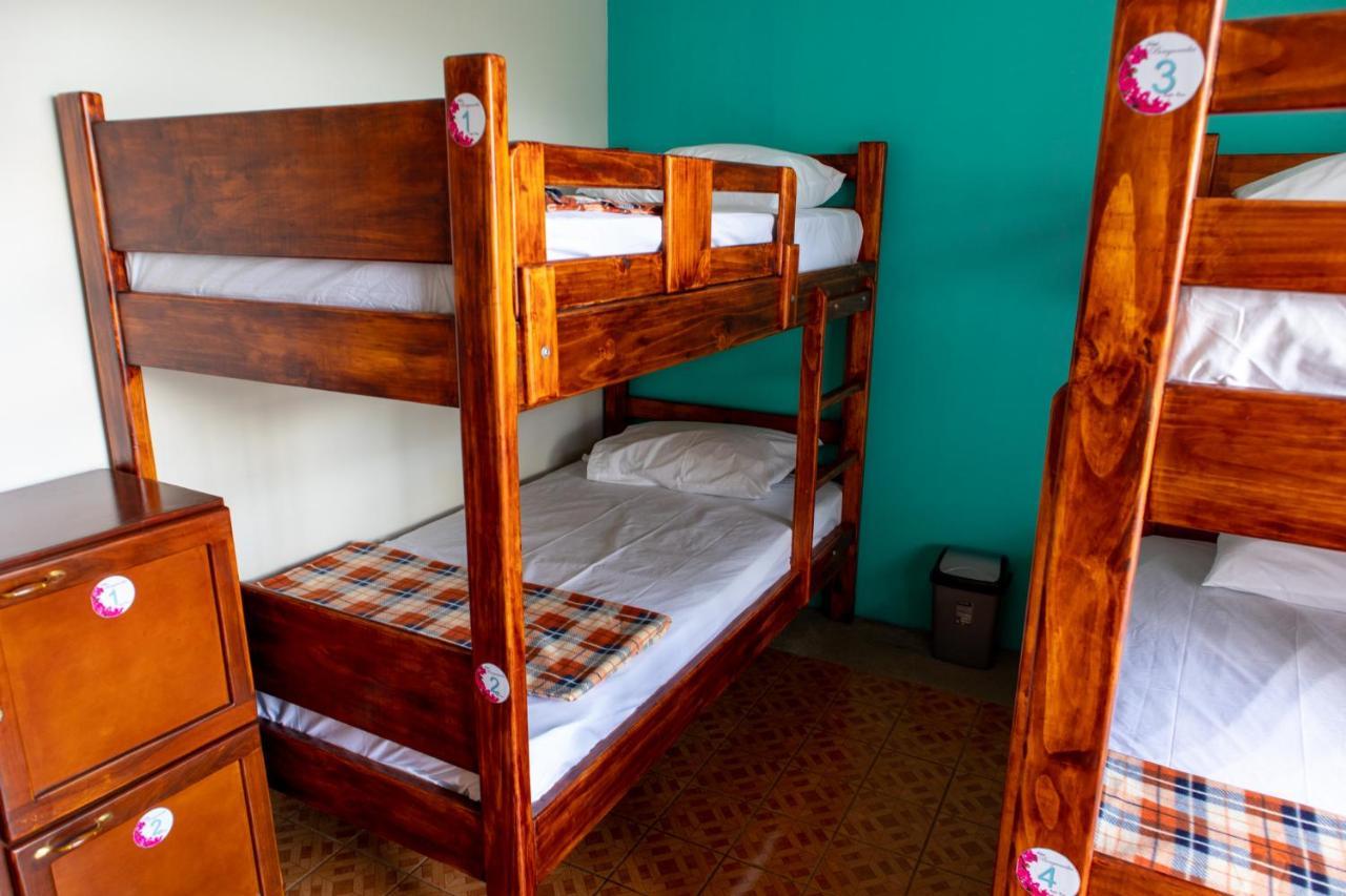 Hostel Bouganvilia Bed And Breakfast San Ramón Dış mekan fotoğraf